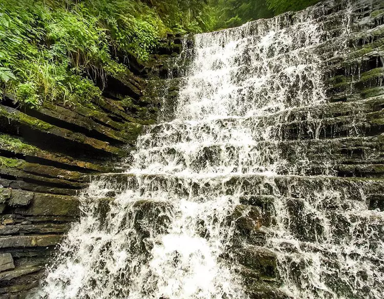 Міст-віадук (Ворохта)