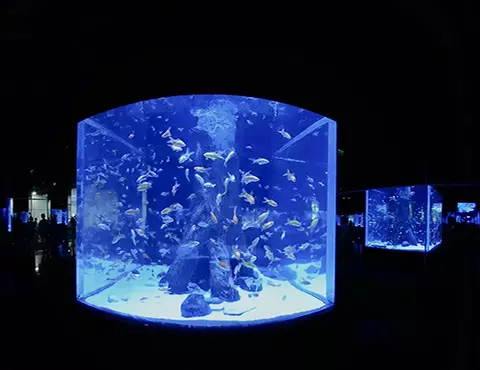 360 ВІДЕО ЕКСКУРСІЇ "АНТАЛІЙСЬКИЙ АКВАРІУМ"