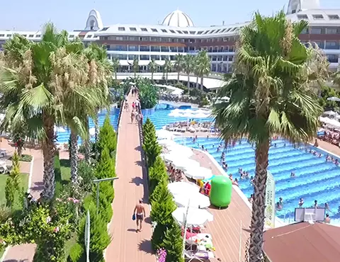 MAGIK LIFE JACARANDA