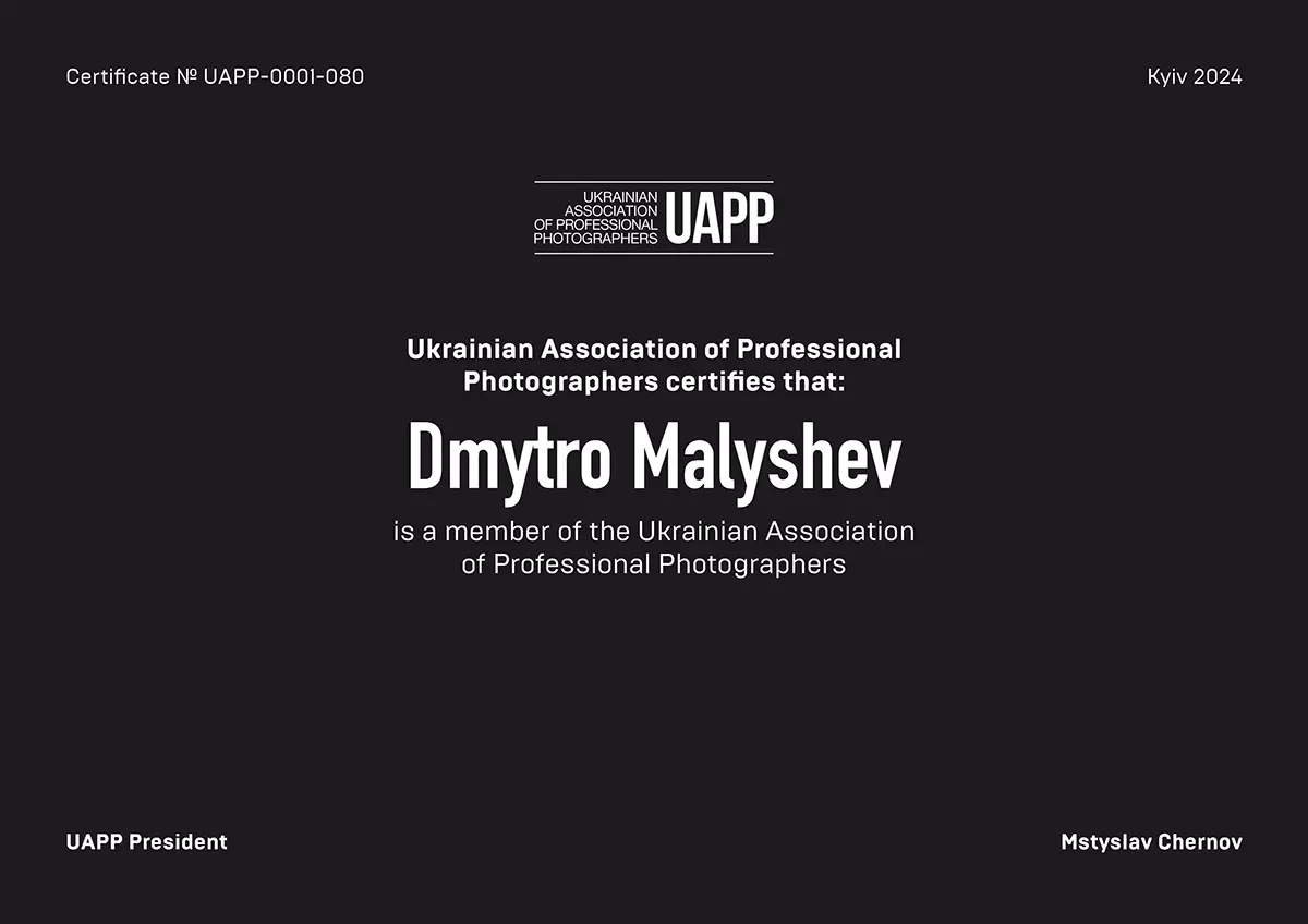 Дмитро Малишев